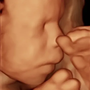 3d ultrasound of baby smelling feet